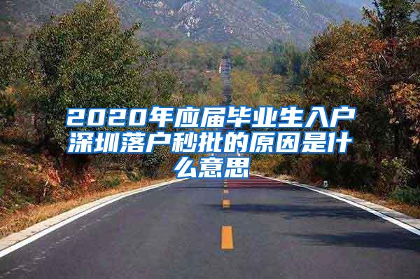 2020年应届毕业生入户深圳落户秒批的原因是什么意思