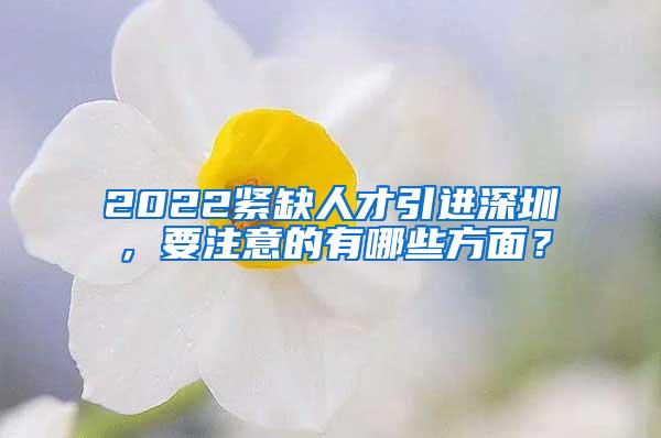 2022紧缺人才引进深圳，要注意的有哪些方面？