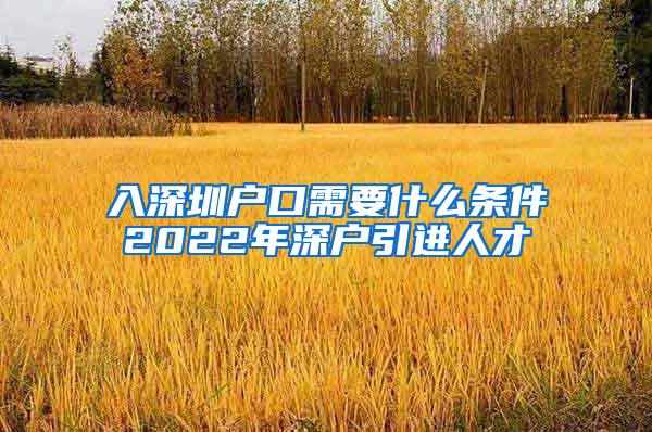 入深圳户口需要什么条件2022年深户引进人才