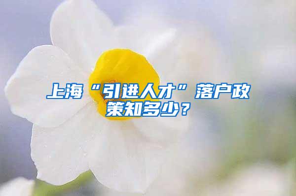 上海“引进人才”落户政策知多少？