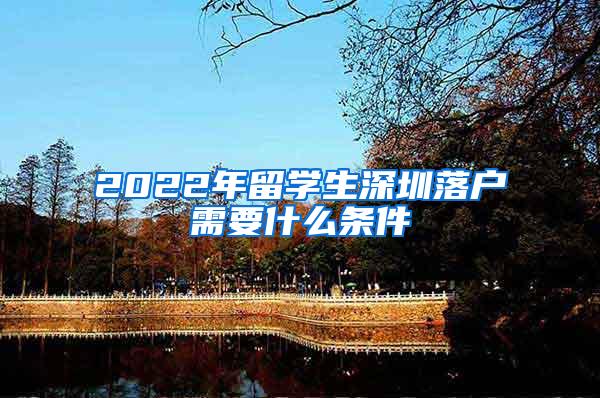 2022年留学生深圳落户需要什么条件