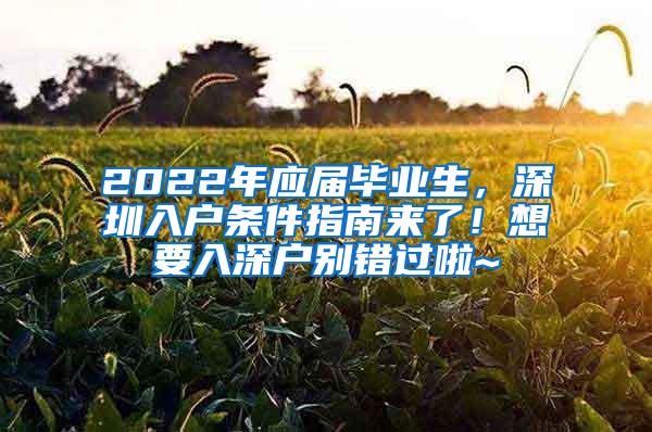 2022年应届毕业生，深圳入户条件指南来了！想要入深户别错过啦~