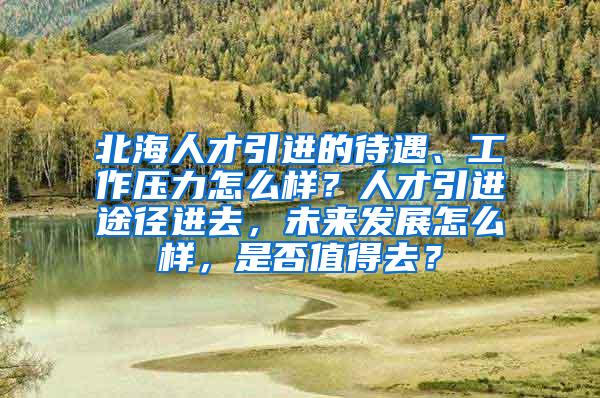 北海人才引进的待遇、工作压力怎么样？人才引进途径进去，未来发展怎么样，是否值得去？