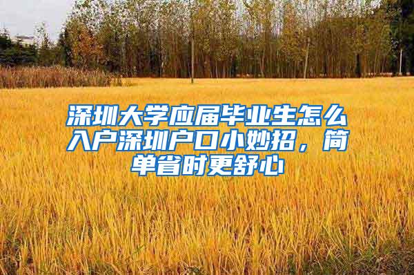 深圳大学应届毕业生怎么入户深圳户口小妙招，简单省时更舒心