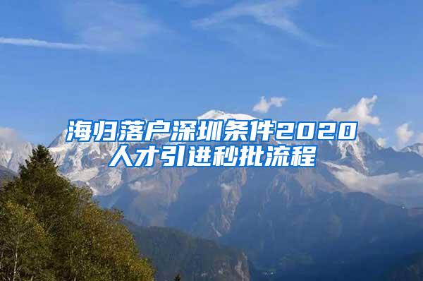 海归落户深圳条件2020人才引进秒批流程