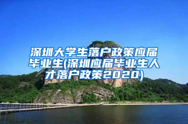 深圳大学生落户政策应届毕业生(深圳应届毕业生人才落户政策2020)