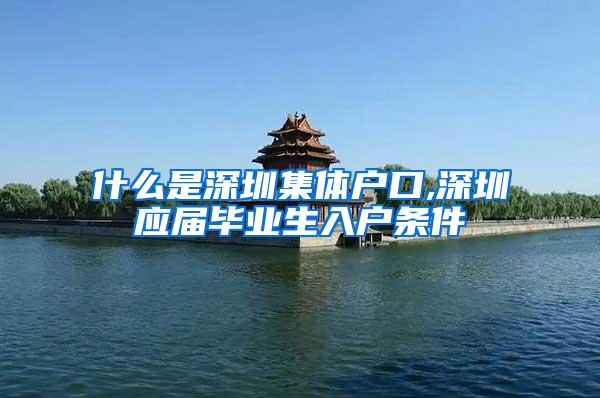 什么是深圳集体户口,深圳应届毕业生入户条件