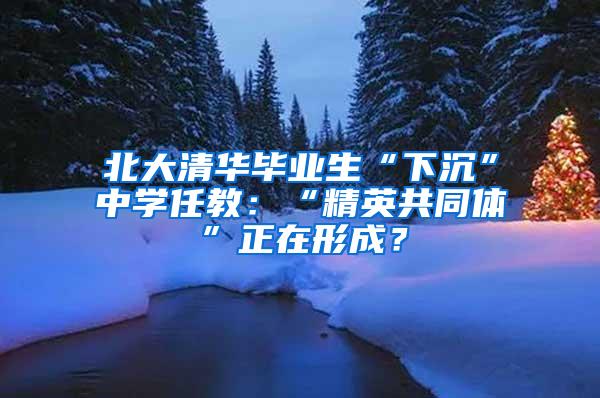 北大清华毕业生“下沉”中学任教：“精英共同体”正在形成？