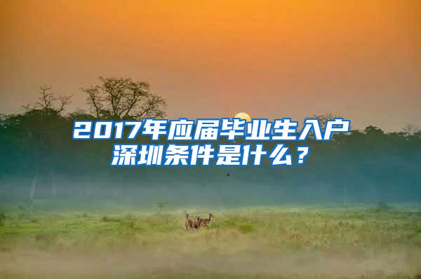 2017年应届毕业生入户深圳条件是什么？