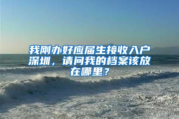 我刚办好应届生接收入户深圳，请问我的档案该放在哪里？