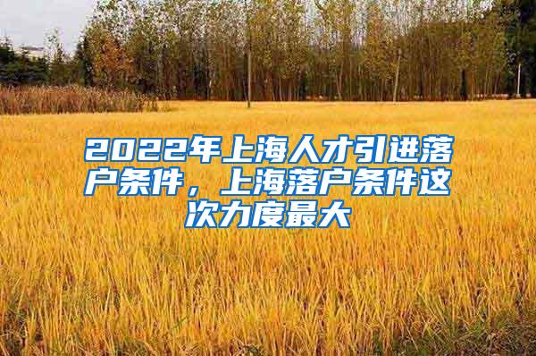 2022年上海人才引进落户条件，上海落户条件这次力度最大