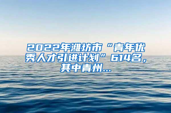 2022年潍坊市“青年优秀人才引进计划”614名，其中青州...