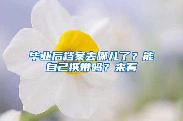 毕业后档案去哪儿了？能自己携带吗？来看→