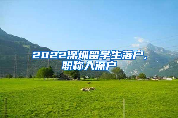 2022深圳留学生落户,职称入深户