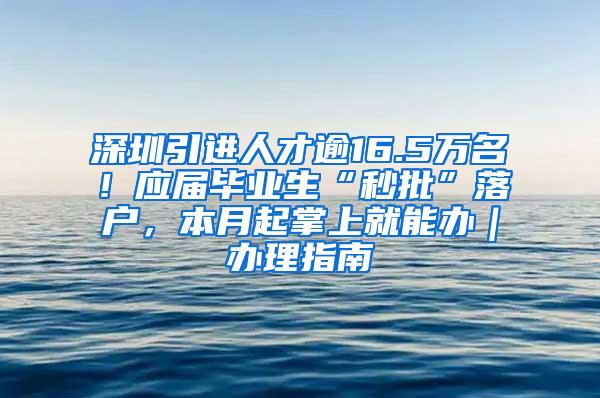 深圳引进人才逾16.5万名！应届毕业生“秒批”落户，本月起掌上就能办｜办理指南