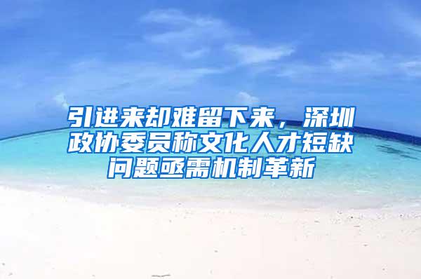 引进来却难留下来，深圳政协委员称文化人才短缺问题亟需机制革新