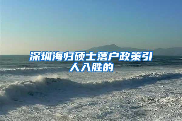 深圳海归硕士落户政策引人入胜的