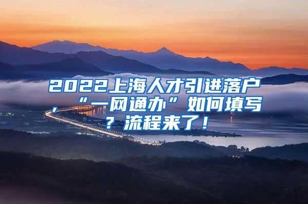 2022上海人才引进落户，“一网通办”如何填写？流程来了！