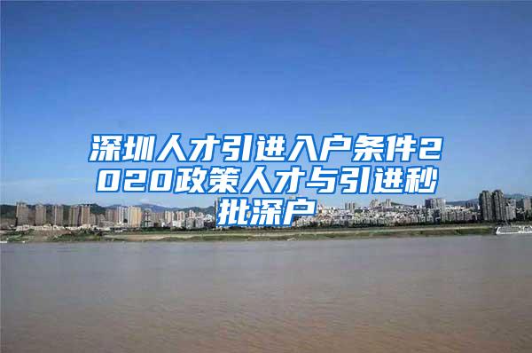 深圳人才引进入户条件2020政策人才与引进秒批深户