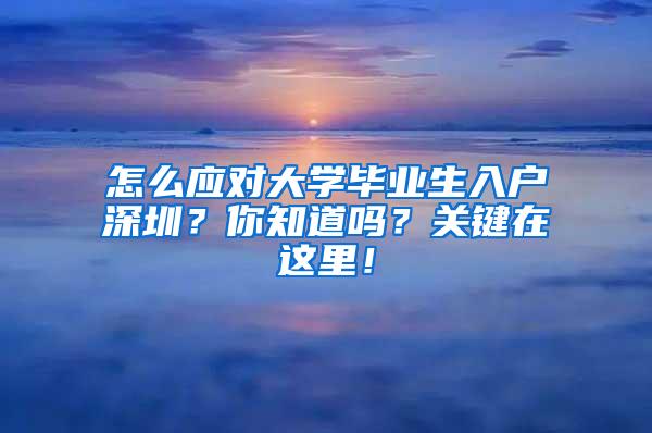 怎么应对大学毕业生入户深圳？你知道吗？关键在这里！