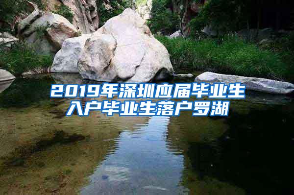 2019年深圳应届毕业生入户毕业生落户罗湖