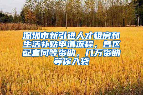 深圳市新引进人才租房和生活补贴申请流程，各区配套同等资助，几万资助等你入袋