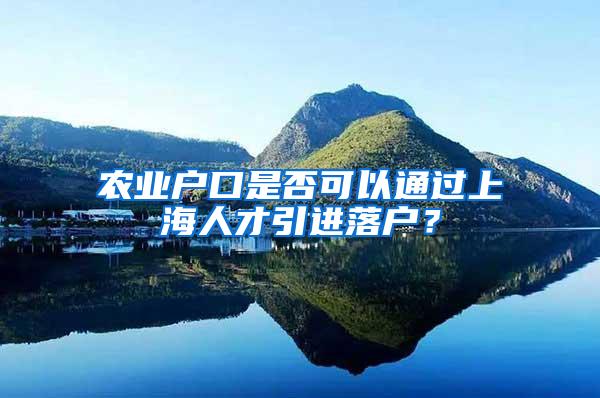 农业户口是否可以通过上海人才引进落户？