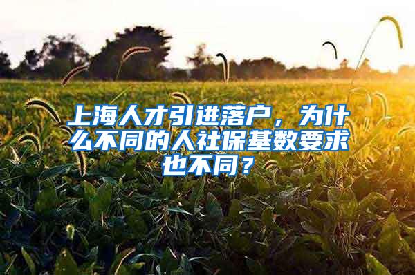 上海人才引进落户，为什么不同的人社保基数要求也不同？