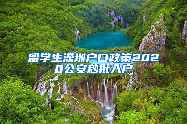 留学生深圳户口政策2020公安秒批入户