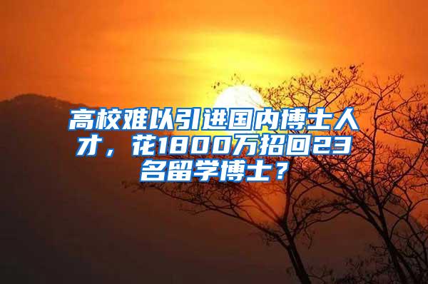 高校难以引进国内博士人才，花1800万招回23名留学博士？