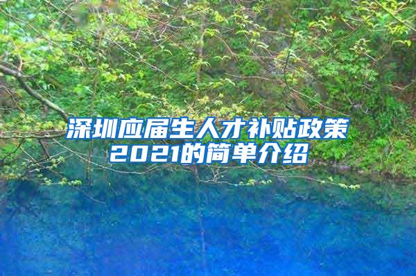 深圳应届生人才补贴政策2021的简单介绍