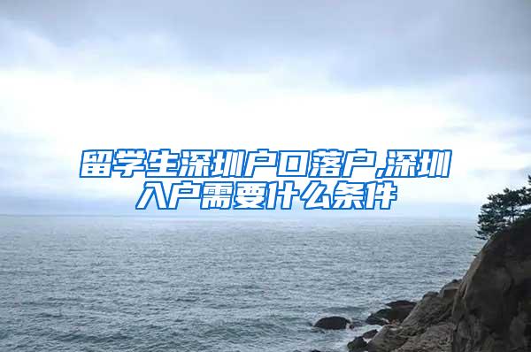 留学生深圳户口落户,深圳入户需要什么条件