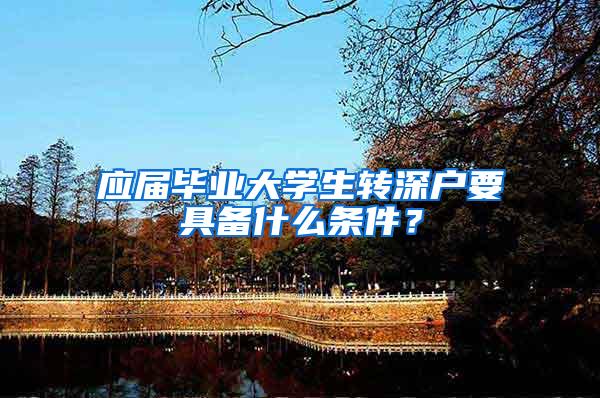 应届毕业大学生转深户要具备什么条件？