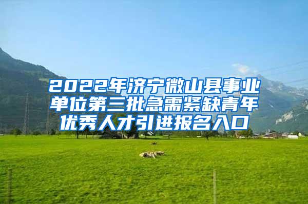 2022年济宁微山县事业单位第三批急需紧缺青年优秀人才引进报名入口