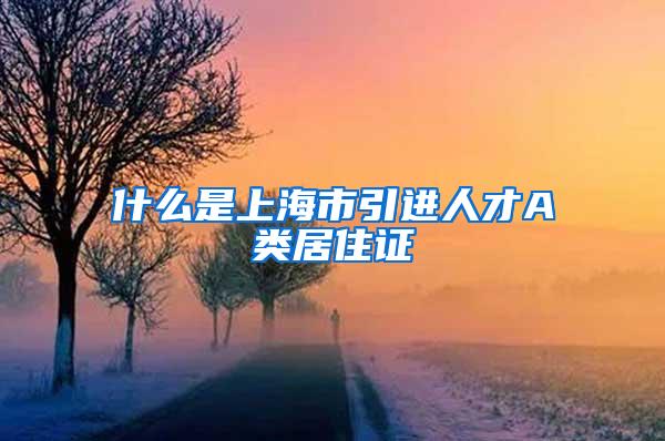 什么是上海市引进人才A类居住证