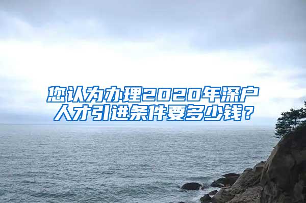 您认为办理2020年深户人才引进条件要多少钱？