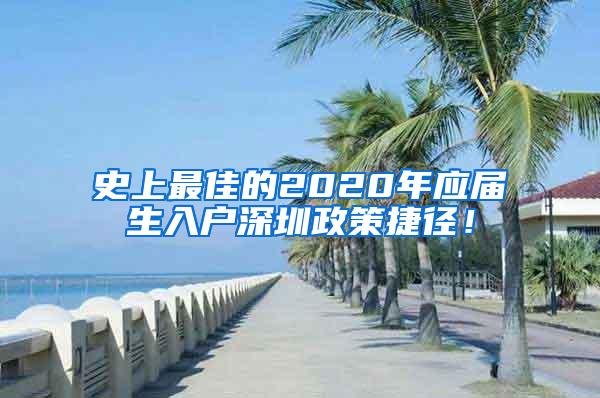 史上最佳的2020年应届生入户深圳政策捷径！