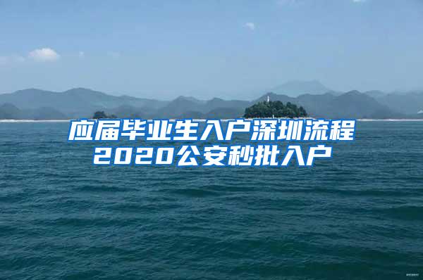 应届毕业生入户深圳流程2020公安秒批入户