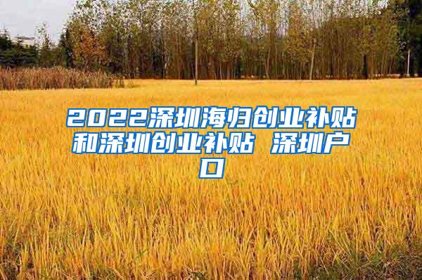 2022深圳海归创业补贴和深圳创业补贴 深圳户口