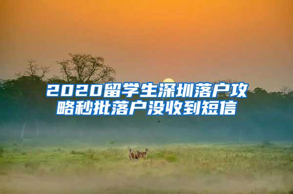 2020留学生深圳落户攻略秒批落户没收到短信