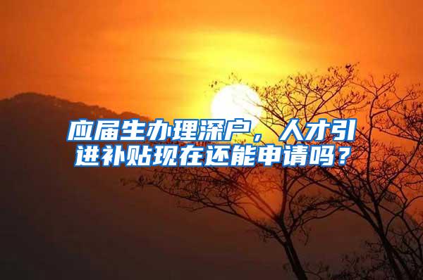 应届生办理深户，人才引进补贴现在还能申请吗？