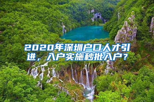 2020年深圳户口人才引进，入户实施秒批入户？