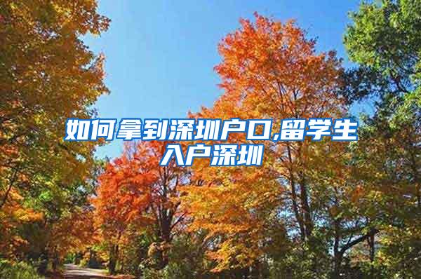 如何拿到深圳户口,留学生入户深圳