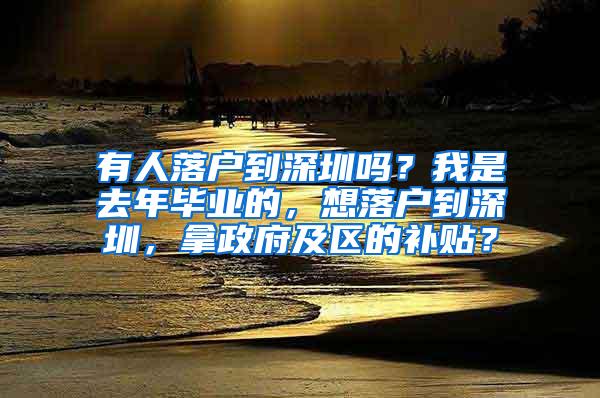 有人落户到深圳吗？我是去年毕业的，想落户到深圳，拿政府及区的补贴？