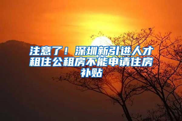 注意了！深圳新引进人才租住公租房不能申请住房补贴