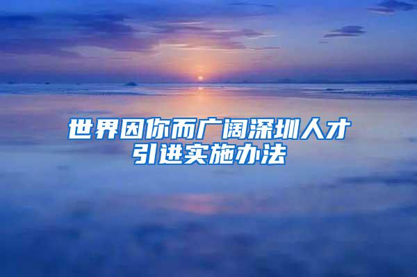 世界因你而广阔深圳人才引进实施办法