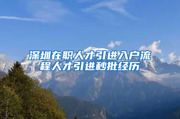 深圳在职人才引进入户流程人才引进秒批经历