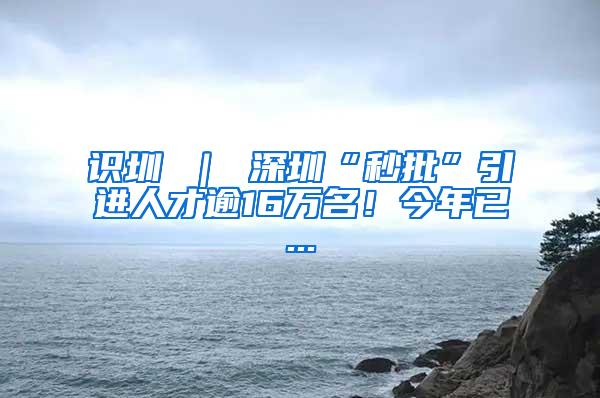 识圳 ｜ 深圳“秒批”引进人才逾16万名！今年已...