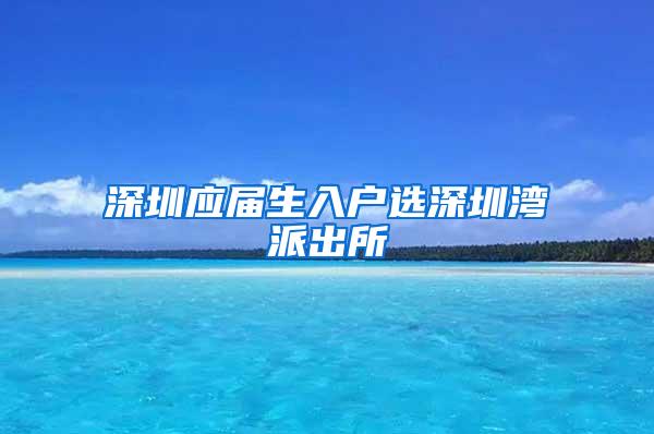 深圳应届生入户选深圳湾派出所