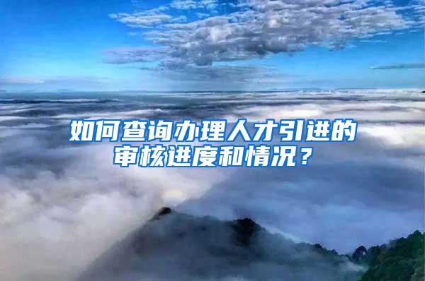 如何查询办理人才引进的审核进度和情况？